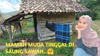 PERKAMPUNGAN TERPENCIL YANG SUBUR ! Pelosok Kampung yang subur air.Ciamis Jawa Barat..