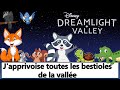 On fait le tour des bestioles et on voit comment les attraper  disney dreamlight valley  tuto  fr