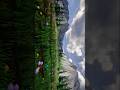 [Minecraft 2K] Runaway Flowery Mountain Minecraft Cinematic #minecraft #minecraftshorts #shaders