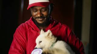 The Best Multivitamin to get for your dog in Accra