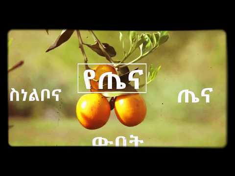 ቪዲዮ: በ የጦር መኮንን እንዴት መሆን እንደሚቻል