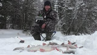 ЛЕСКА ТРЕЩИТ,КРЮЧКИ ОБРЫВАЕТ,РЫБА В ЛУНКУ НЕ ЛЕЗЕТ.! ТАКИХ ПОРОСЯТ Я ЕЩЕ НЕ ЛОВИЛ!! РЫБАЛКА 2024г.🐬🎣