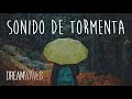 Sonidos de la naturaleza | 8 horas bajo la tormenta