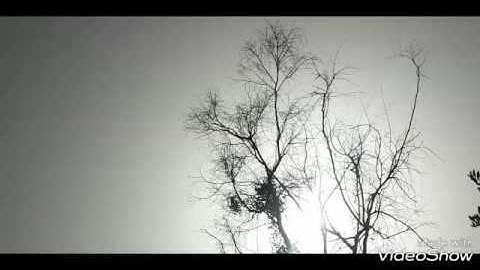 سورة يس كما لم تسمعها من قبل للقارئ شيرزاد طاهر