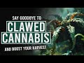 Say goodbye to clawed leaves and boost your cannabis harvest