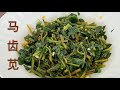 凉拌马齿苋，非常下饭好吃 Purslane Salad Recipe