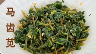 凉拌马齿苋，非常下饭好吃 Purslane Salad Recipe