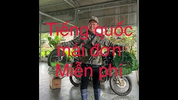 Tiếng quốc mái đơn đánh lụp dành cho ae xài mồi kẹp loa siêu nhạy