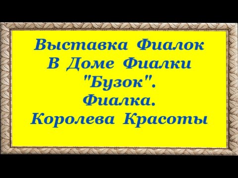 ВЫСТАВКА ФИАЛОК В ДОМЕ ФИАЛКИ ' БУЗОК '. ФИАЛКА КОРОЛЕВА КРАСОТЫ