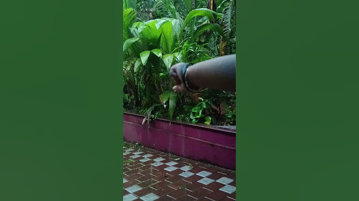 കുഞ്ഞിയുടെ ആദ്യത്തെ മഴ