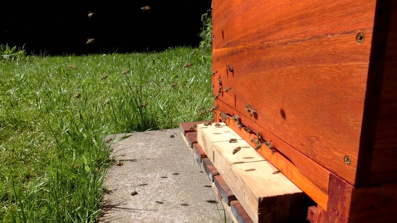 Flugverkehr an der Großraumbeute am 15.05.2015