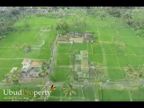 A good sized flat building block (13 are) - Ubud Property