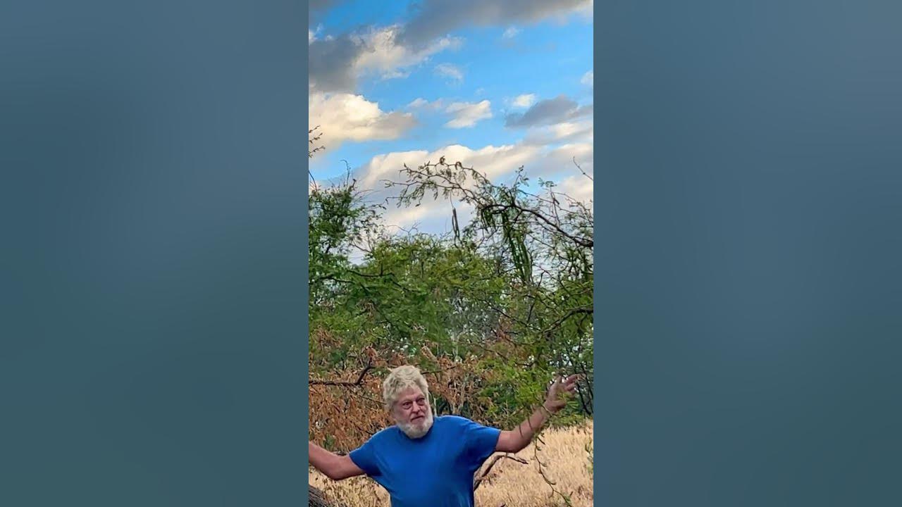 How can we sleep while our beds are burning? YouTube