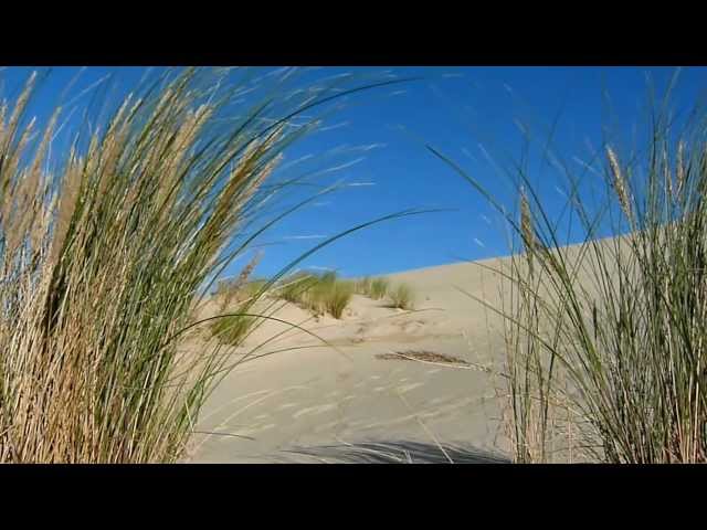 Dune du Pilat | dunedupilat.com | Emotional Music