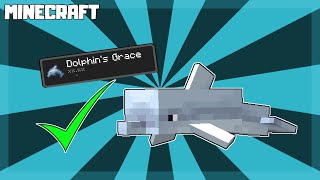 MINECRAFT | How to Get Dolphins Grace! 1.16.4 screenshot 4