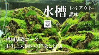 【1－3：体験版・水槽レイアウト講座】アクアリウム三大構図の特徴と役割｜失敗しにくい基本型について詳しく解説