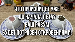 Что произойдет уже до начала лета? Ваш разум будет потрясен откровениями! Гадание на кофе