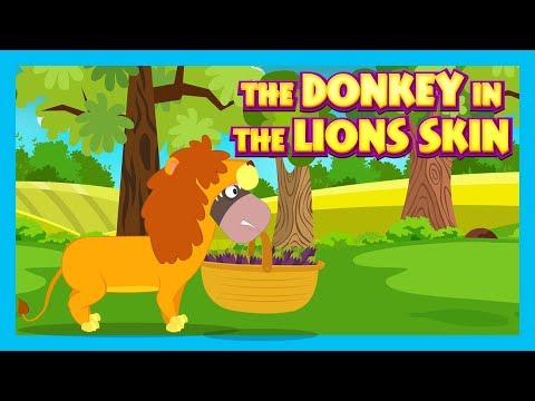 Video: What is the difference between a donkey and a donkey? What is the difference between the two titles?