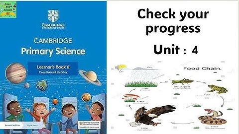 Cambridge  science grade 6| unit :4| check your progress|answers| food chain