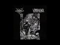 Zephyrous  vorphalackst full split