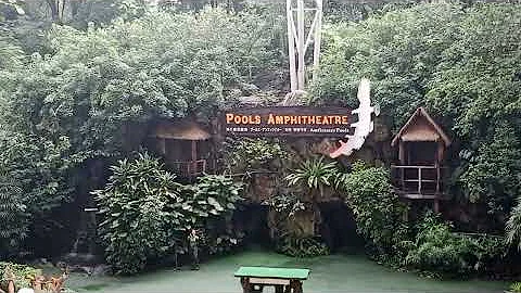 Jurong bird park last 12/18/2022/ludiv...  gamurot