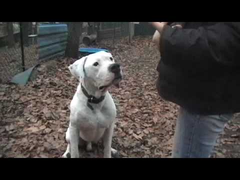 Rosko Www Spa Forbach Fr Youtube Rosko Www Spa Forbach Fr Youtube