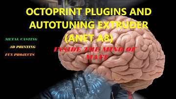 OCTOPRINT PLUGINS AND AUTO TUNING EXTRUDER (ANET A8)