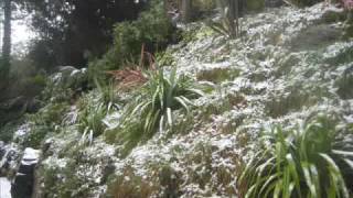Snow Storm at Villa Spaldi - Lynton - Devon