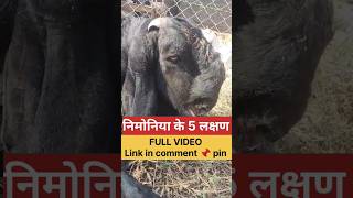 बकर म नमनय क पहचन कस कर Tgfvimalumrao4836