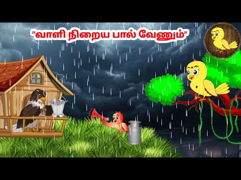 கார்ட்டூன் 29/03/25 | Feel good stories in Tamil | Tamil moral stories | Beauty Birds stories Tamil