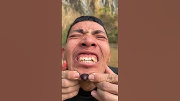 How I Cured a Bug Bite with Yogurt in the Wild | Survival Hacks