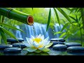 Relaxing Piano &amp; Water Sounds – Deep Sleep, Meditation &amp; Stress Relief