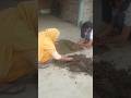 govardhan Puja 🙏🏻#viral#song #trending #shorts