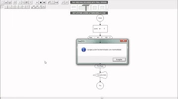 Dfd - Ciclo para y mientras (FOR & WHILE)