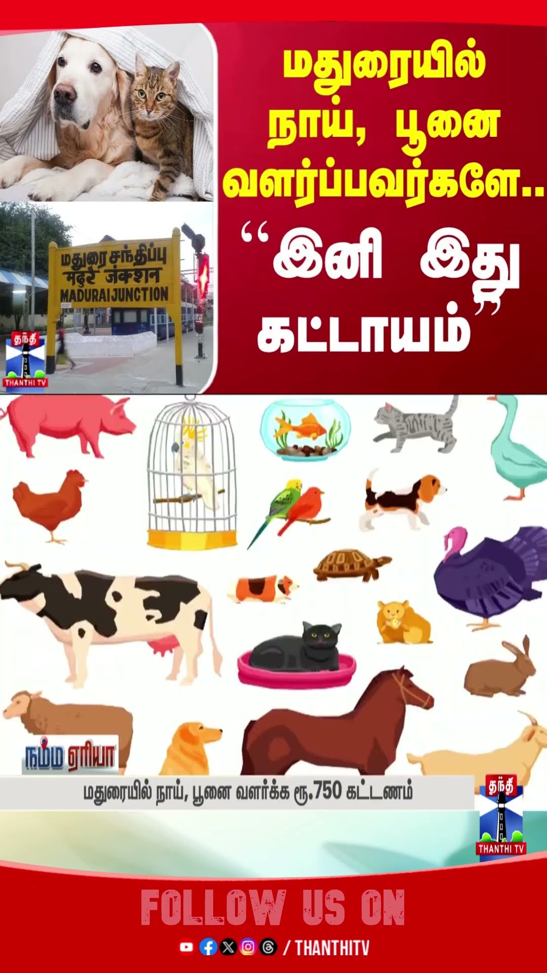 madurai || cat || dog || License fee