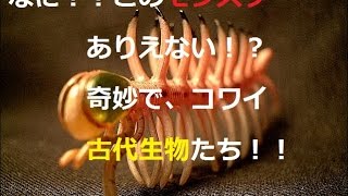 なに！？このモンスター　ありえない！？奇妙でコワイ　古代生物たち　その１