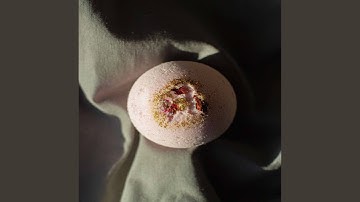 Deluxe Backdrops for Meditation Keynotes