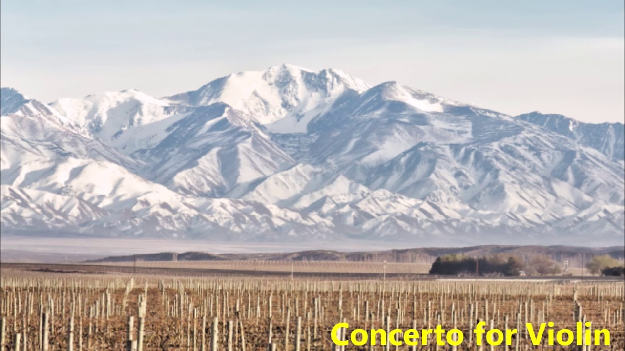 Tonton J. S. Bach -  Violin Concertos BWV 1041, 1042, 1043  &  1060 - J. Fischer di YouTube