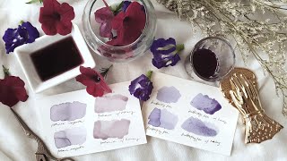 how to make ink from flowers • diy & tutorial
