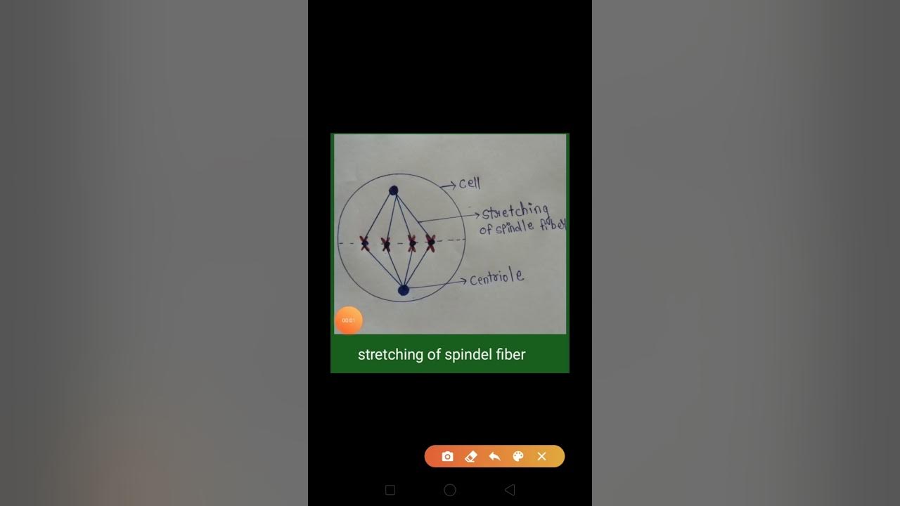 Std 10-science2- chapter 2-Anaphase - YouTube