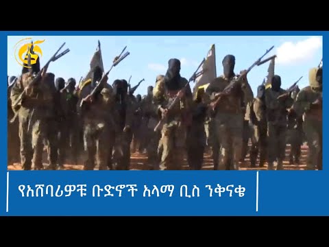 የአሸባሪዎቹ ቡድኖች አላማቢስ ንቅናቄ