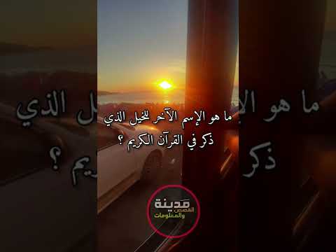 من هو الصحابي الذي كان جبريل يأتي على هيئته