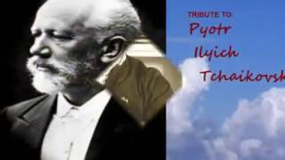 Валентина Толкунова Художник Валентина Толкунова Художник