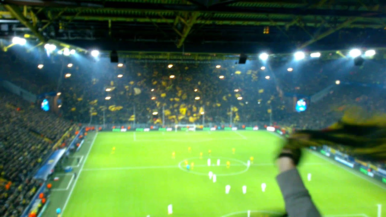 BVB vs FC Shakhtar Donetsk