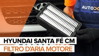 Come cambiare Filtro Aria Hyundai Santa Fe sm - video tutorial