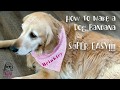 How to make a Dog Bandana - Beginner Sewist Friendly!