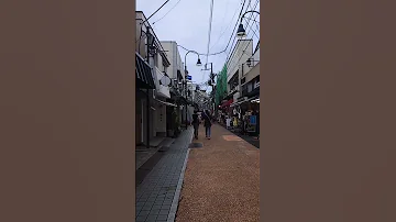 10 Things You Must Do In Yanaka 