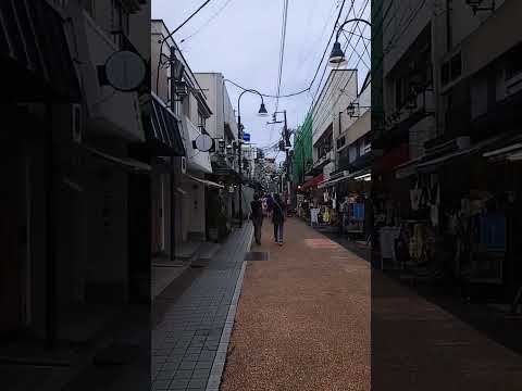 10 Things You Must Do In Yanaka