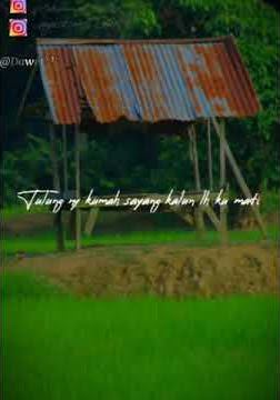 Download lagu Story' wa lagu daerah Jambi