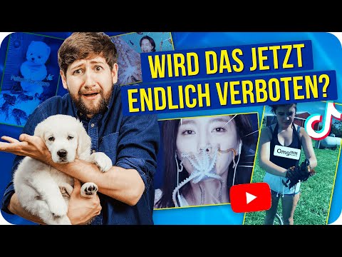 Video: Minter Stoppt Das Bloggen Von Entwicklern